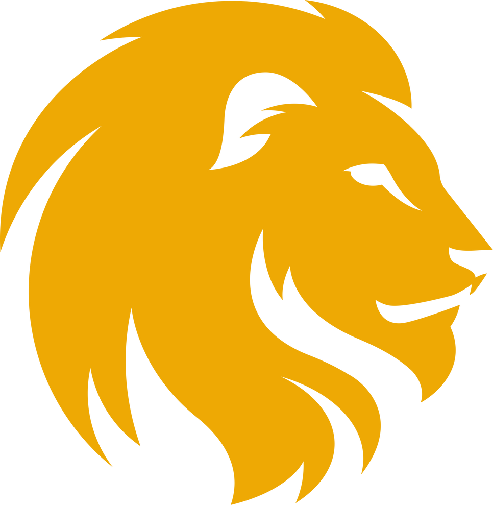 Lion Head Logo Illustration